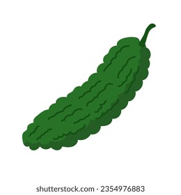 Bitter gourd or pare vegetable, peria or paria vegetable, flat design illustration