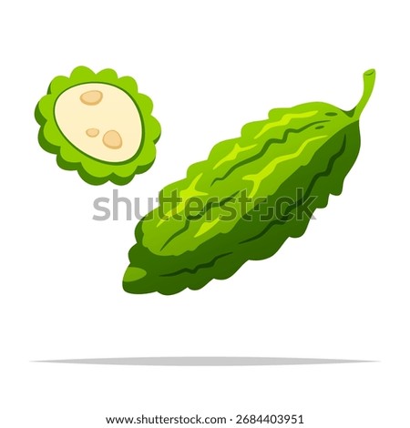 Bitter gourd vegetable vector isolated illustration