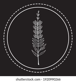 Bitter herbs hand drawn collection. Doodle set of medicinal herbs. Plants in sketch style, isolated. Logo.