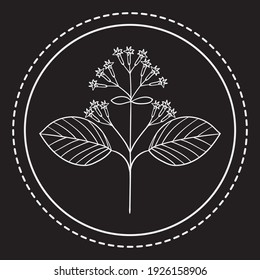 Colección dibujada a mano con hierbas amargas. Conjunto de doodles de hierbas medicinales. Plantas con estilo de sketch, aisladas. Logotipo.