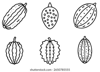 bitter melon line art hand drawn vegetable black white artwork