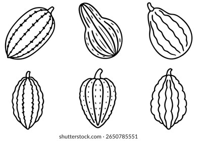 bitter melon line art traditional ink sketch of healthy vegetable