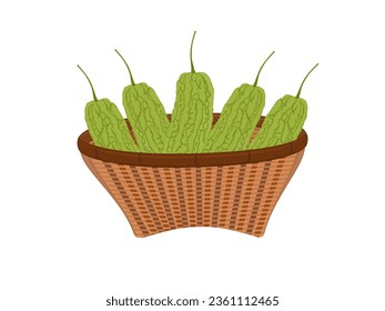 Melón amargo sobre fondo blanco.