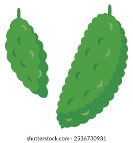 Bitter melon simple vector illustration