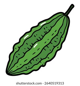Bitter melon vector illustration, simple design