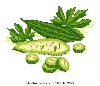 Bitter melon vegetables with green leaf. Good organic food for healthy. Bitter gourd vector design