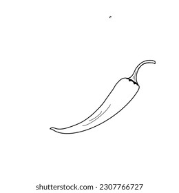 bitter pepper, sketch vector drawing, isolated on a white background. collection of vegetables