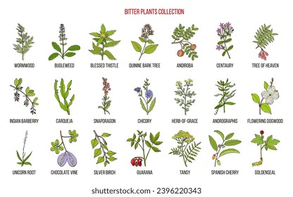 Bitter plants collection. Hand drawn botanical vector illustration