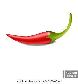Bitter red pepper. Cartoon. For your design.