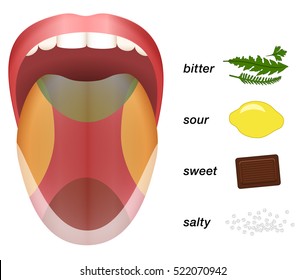 Bitter, sour, sweet and salty taste represented by herbs, lemons, chocolate and grains of salt on a tongue.