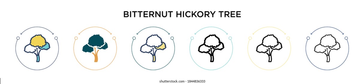 Bitternut hickory tree icon in filled, thin line, outline and stroke style. Vector illustration of two colored and black bitternut hickory tree vector icons designs can be used for mobile, ui, web