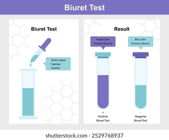 Cartaz do teste de Biuret. Infográficos químicos e biológicos e materiais educacionais. Educação e formação, aprendizagem. Experiência científica. Química e biologia. Ilustração de vetor plano