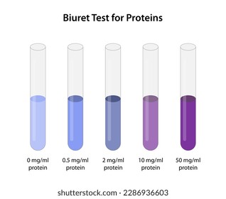 Biuret Test for Proteins (Piotrowski's test)