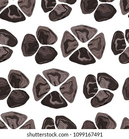 
bivalve mollusks, oyster pattern