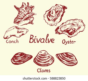 Bivalve set, conch, oyster and clam, with inscription, hand drawn doodle, sketch in pop art style, isolated vector illustration