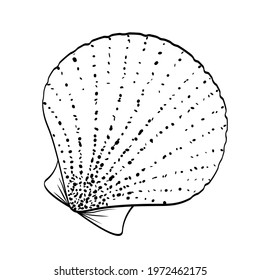 Bivalve shell sea scallop on white background. Black outline hand drawn sketch with dotted texture, doodle style. Minimalist vector element for icon, sealife, marine or food design, coloring book.