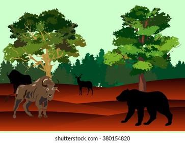 Bizon and bear in american prairie, vector illustration