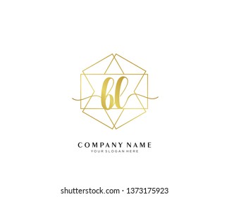 BL initial handwriting logo geometric template vector