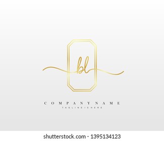BL initial handwriting logo template vector