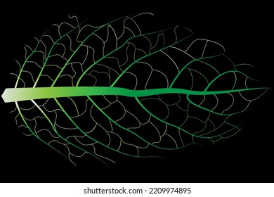 black abstract background with green gradient