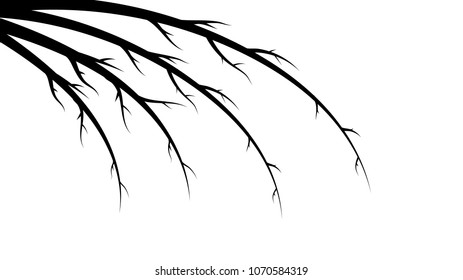 Black abstract beautiful branches, stems, lines on white background and place for copy space, vector illustration