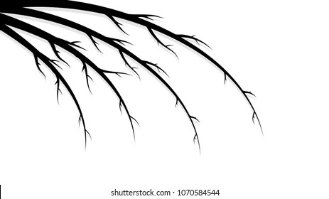 Black abstract beautiful branches, stems, lines with shadows on white background and place for copy space, vector illustration