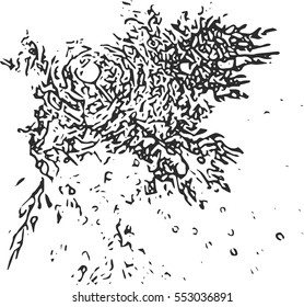 Black abstract brush stroke, texture/design isolated on a white background.