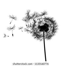 Dandelions Silhouette Stock Vector (royalty Free) 533559412