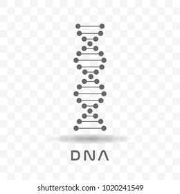 Black abstract DNA strand symbol with shadow isolated on transparent background.
