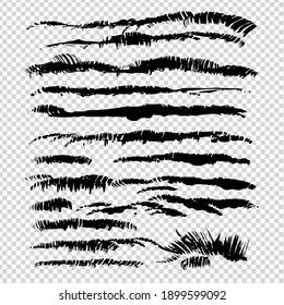 Black Abstract Fur Or Grass Texture Thick Brush Textured Strokes On Imitation Transparent Background