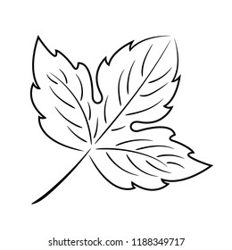 Black abstract leaf on a white background