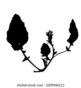 Black abstract vector background with leaves.