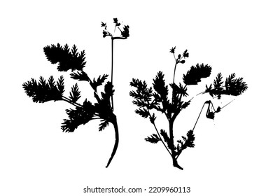 Black abstract vector background with leaves.