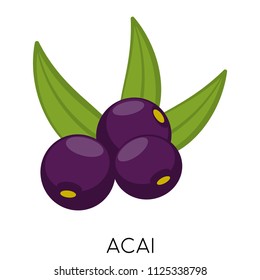 Black Acai berry flat icon isolated on white background. Exotic fresh amazon nutrition. Eco delicious food. Vector illustration