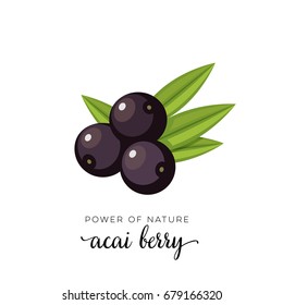 Black Acai Berry Flat Icon With Inscription Colorful Vector Illustration Of Eco Food Isolated On White. 