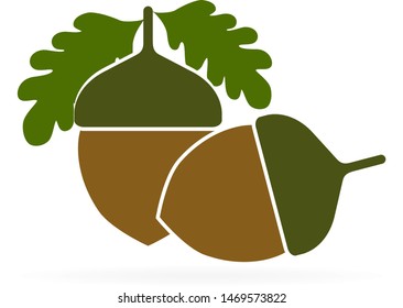 black acorn with leaf. vector illustration