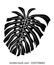 Black adam's Rib Leaf icon. Monstera holed leaf. Illustration isolated on white background.