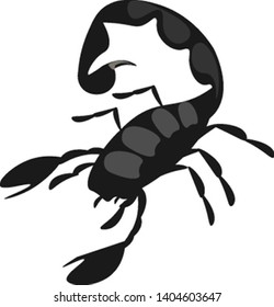 A black aggressive scorpion with a fat tail, vector, color drawing or illustration. 