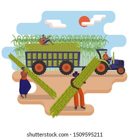 Black agricultural workers are picking a sugarcane in the field. Tractor with a trailer loaded with sugarcane. Harvesting of sugar cane.  Agricultural work. Flat cartoon vector illustration.