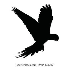 Silueta de loro de amazonas negras vector sobre un fondo blanco.