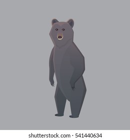 Black american bear. Vector illustration Grizzly