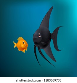 Black angel and orange fish
