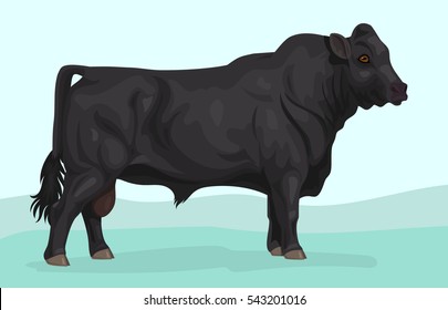black angus bull breed svg