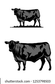 Black Angus Cattle Cow Illustration