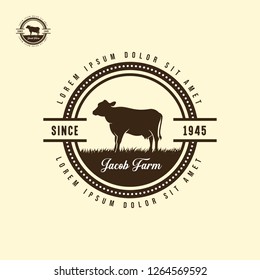 black angus logo design template. cow farm logo design. cow vector illustration