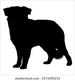 Black Animal Dog Silhouettes Vector illustration