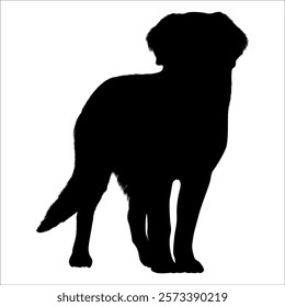 Black Animal Dog Silhouettes Vector illustration