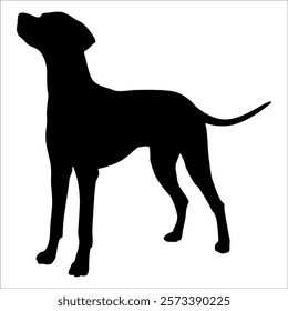 Black Animal Dog Silhouettes Vector illustration