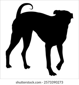 Black Animal Dog Silhouettes Vector illustration