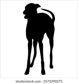 Black Animal Dog Silhouettes Vector illustration